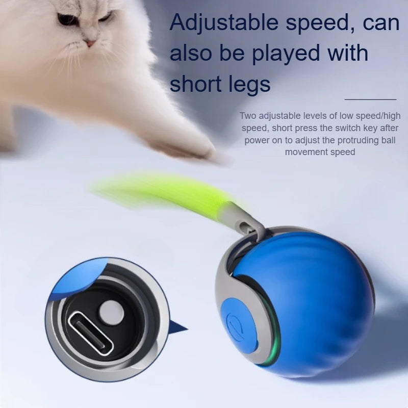 Interactive USB Rechargeable Rolling Cat Toy with Faux Tail — Automatic Teaser Ball for Cats & Small Dogs