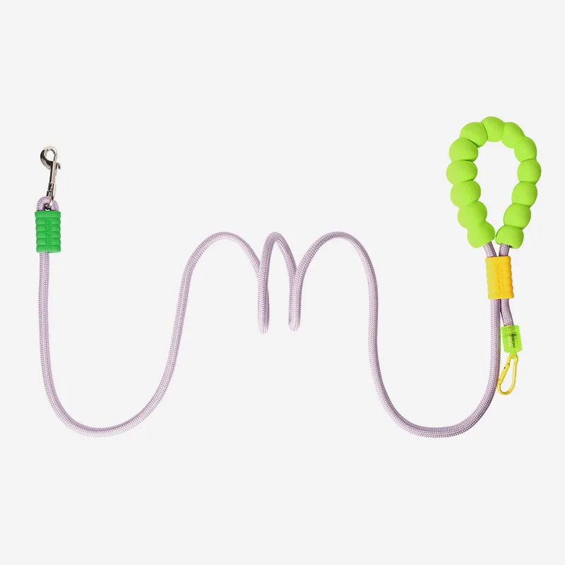 Durable Dog Leash – Sturdy Basic Pet Leash for Everyday Walks and Training