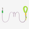 Durable Dog Leash – Sturdy Basic Pet Leash for Everyday Walks and Training