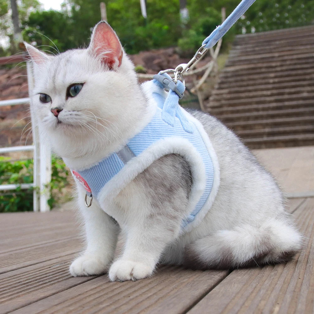 Fur-Lined Winter Dog Harness & Leash Set — Warm Plush Pet Harness for Chihuahua, Yorkie & Small Puppies