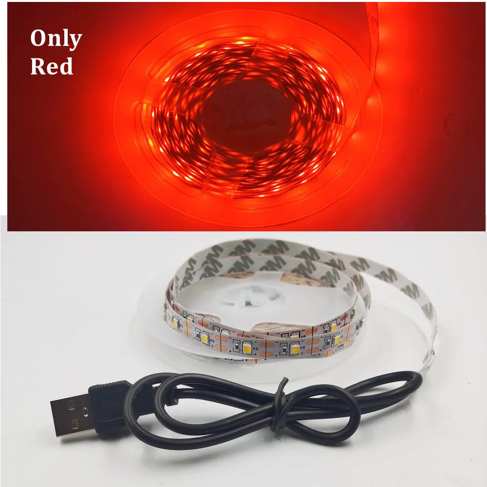 5V USB LED Strip Light 5m (16.4ft) & 1m (3.3ft) SMD3528 — Waterproof Flexible Color Strip Warm/Cool White + RGB for Cabinet, Ceiling & TV Backlight