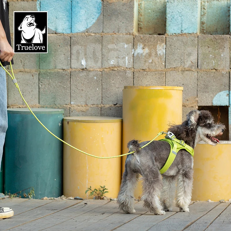 Lightweight Nylon Rope Dog Leash – 120 cm (47 in) Durable Clip for Small Dogs & Cats, Striped Outdoor Walking & Training Lead