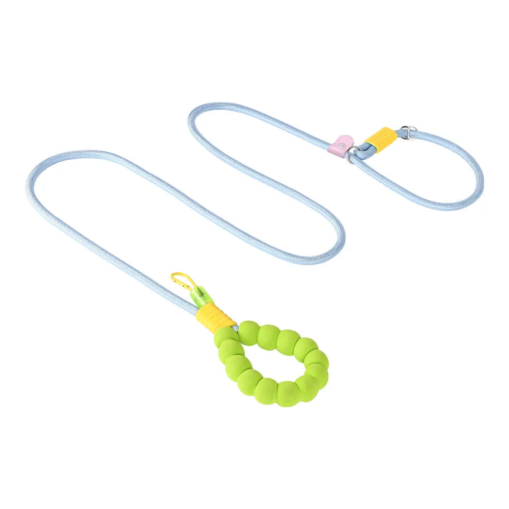 Durable Dog Leash – Sturdy Basic Pet Leash for Everyday Walks and Training