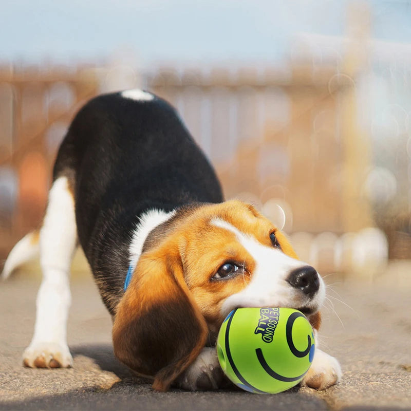 Interactive Giggle Glow Dog Ball — No-Battery Play Toy for Small & Large Dogs