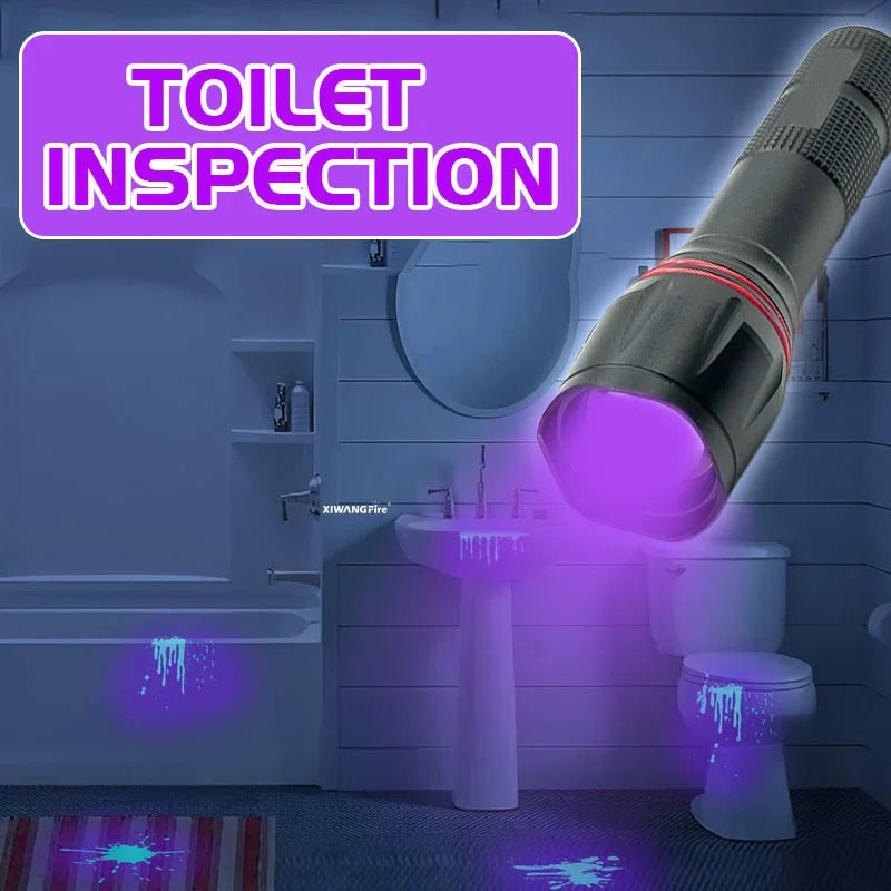 395nm UV LED Flashlight Rechargeable Zoomable - Portable Pet Urine & Bed Bug Detector, Money and Scorpion Finder