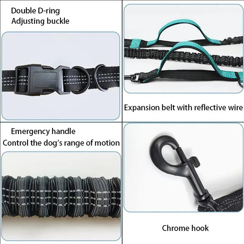 Double Elastic Reflective Hands-Free Running Dog Leash — Retractable Bungee Waist Lead 160–260 cm (63–102 in), Waist 70–120 cm (27–47 in)