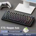 75% RGB Mechanical Gaming Keyboard — 2.4G Wireless, Bluetooth & Wired USB, Hot-Swap Switches, Gasket Mount, OEM Profile