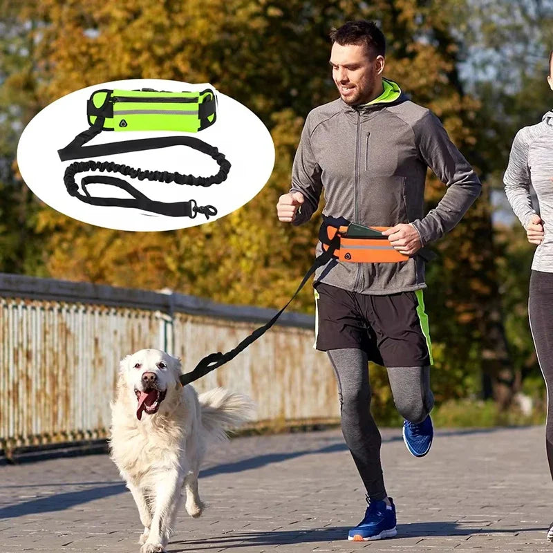 Hands-Free Reflective Dog Leash with Waist Bag – Retractable Elastic Belt for Running, Walking & Jogging