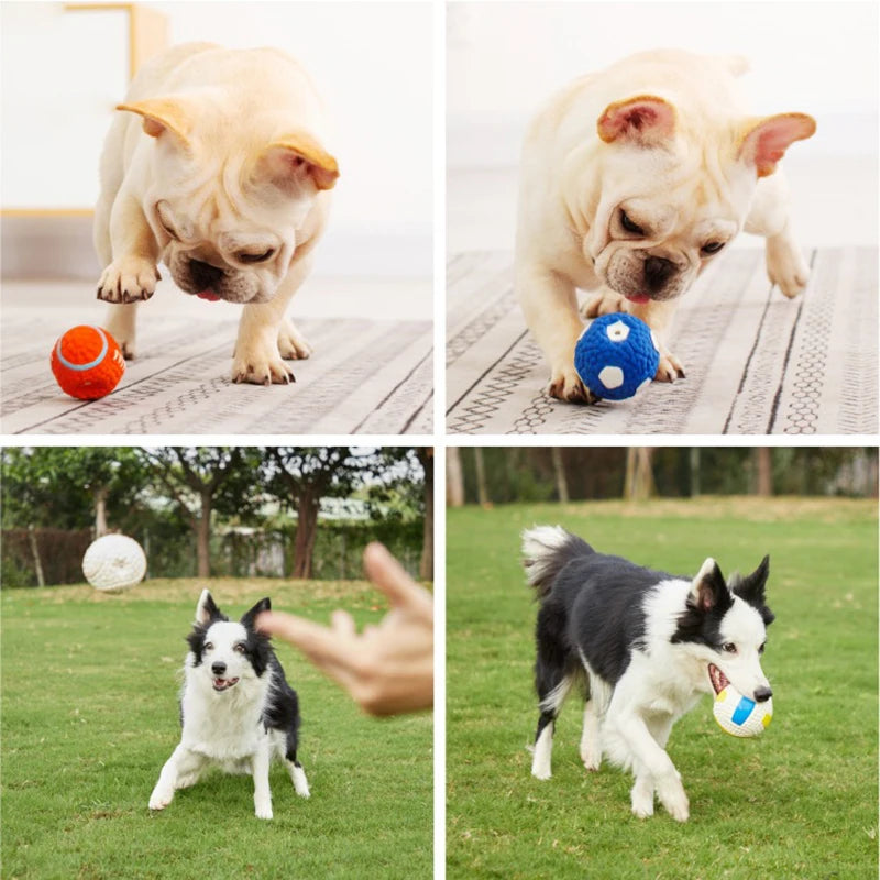 Dog Squeaky Latex Ball Chew Toy – Dental Cleaning Training & Interactive Play (Rugby, Tennis, Volleyball, Football, Basketball Shapes)