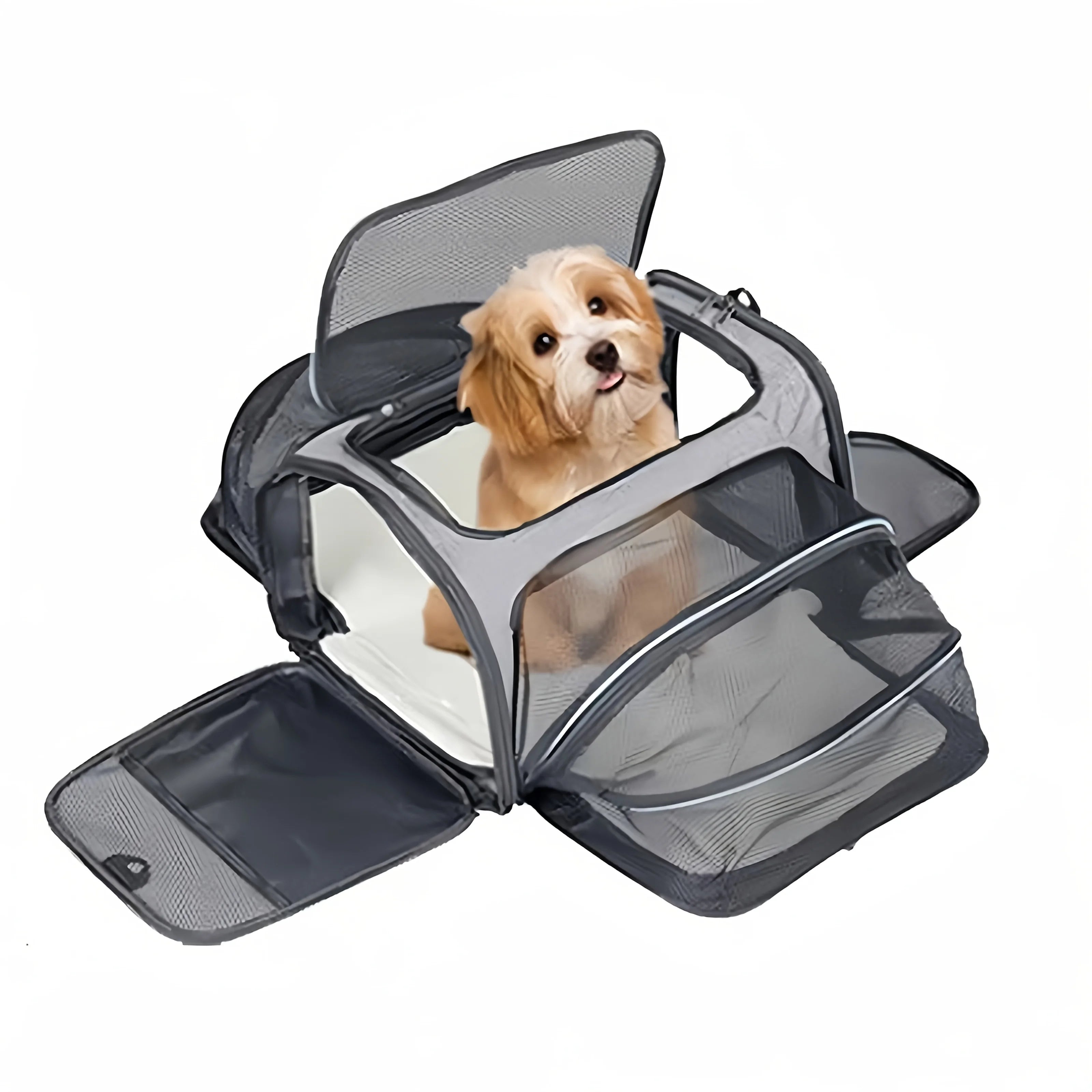 Foldable Mesh Pet Carrier – Expandable Soft-Sided Travel Carrier for Cats & Small Dogs, Breathable Handheld Tote