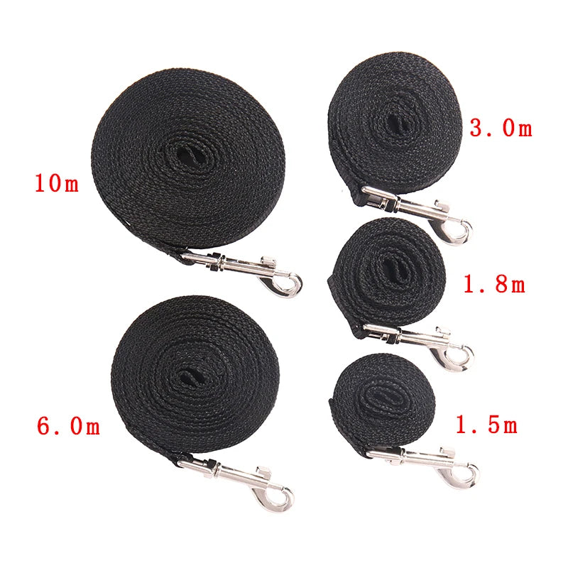 Long Strong Nylon Dog Leash - Training & Walking Lead, 10m/15m/20m (33/49/66 ft) for Small to Large Dogs & Puppies