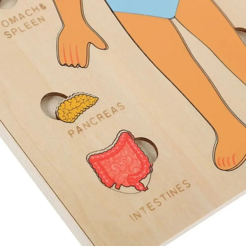 Montessori Wooden Human Body Puzzle Learning Board – Educational Anatomy Toy for Preschoolers & Kids (22.8 x 18 cm / 8.98 x 7.09 in)