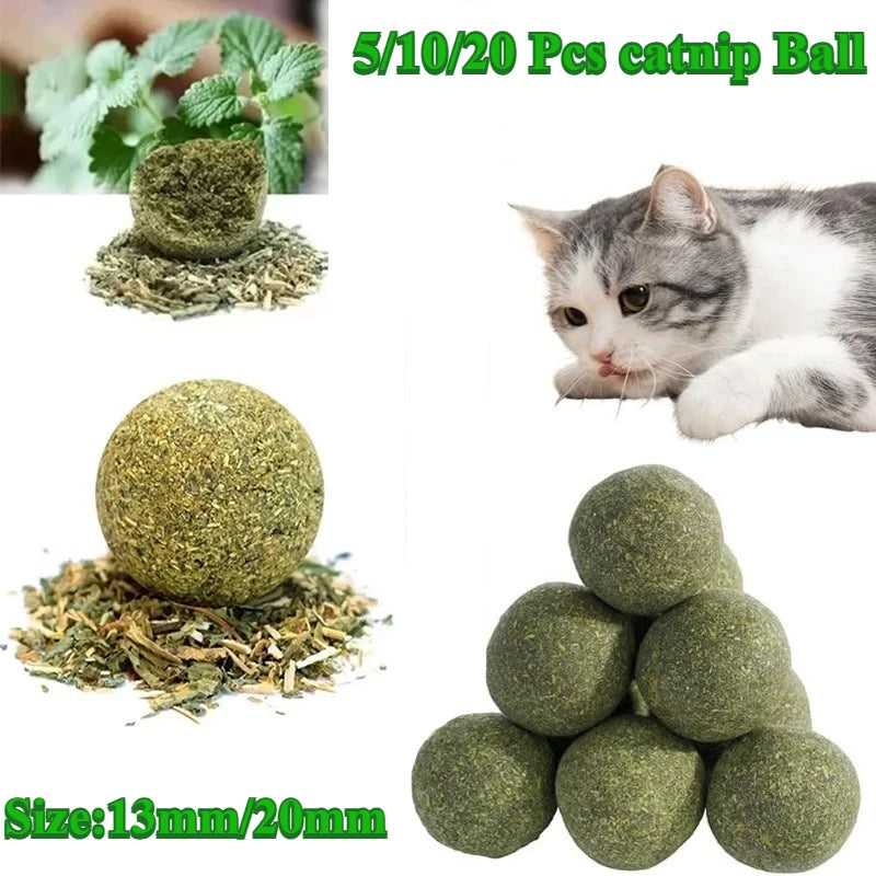 Natural Catnip Balls 5/10/20-Pack Lickable Kitten Toy for Cats