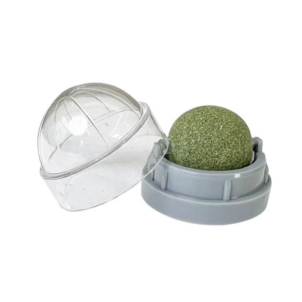 Catnip Wall Stick-On Ball Toy for Cats — Adhesive Cat Grass Treat Ball for Digestion & Scratching