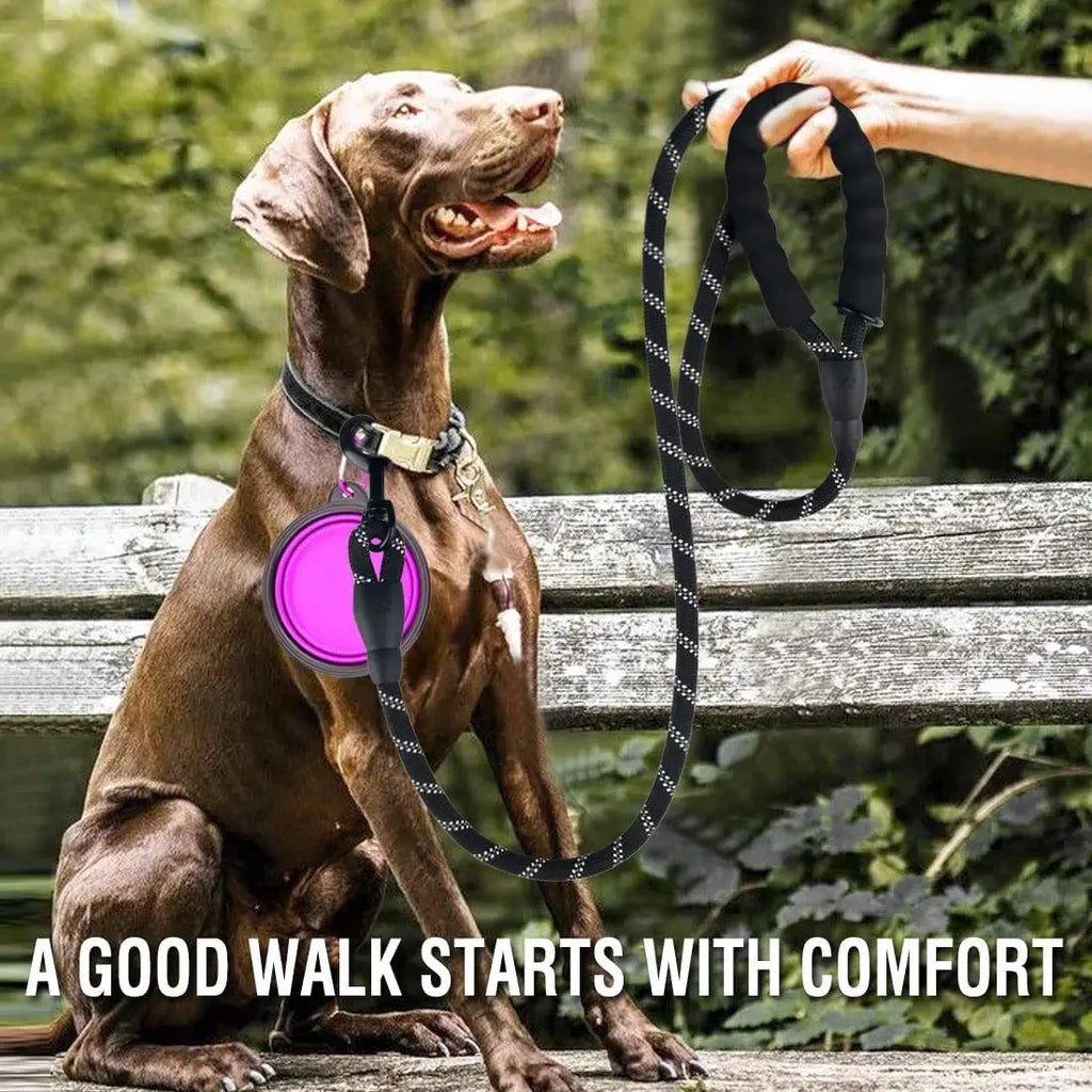 Reflective Heavy-Duty Dog Leash – Nylon Anti-Pull Leash for Small, Medium & Large Dogs