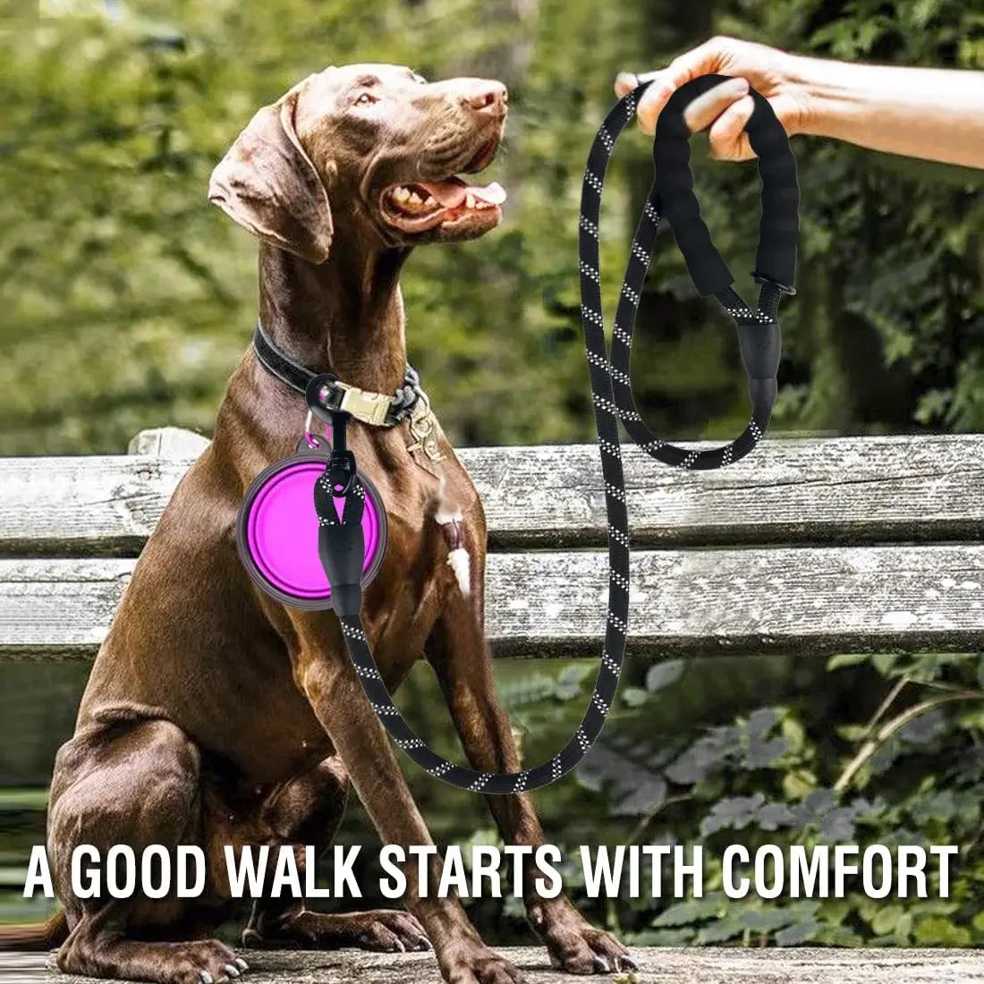 Reflective Heavy-Duty Dog Leash – Nylon Anti-Pull Leash for Small, Medium & Large Dogs