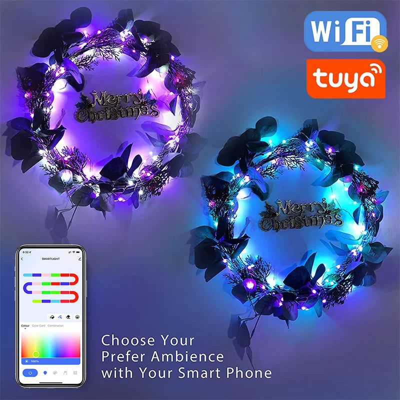USB RGBIC Addressable LED Fairy String Lights with WiFi — string & fairy lights