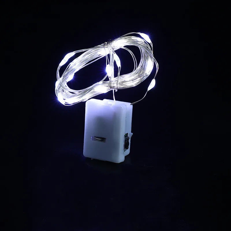 FanzyMarket button battery LED fairy string lights, 2m multicolor indoor/outdoor decor with 20 LEDs and warm white, white, blue, pink options.