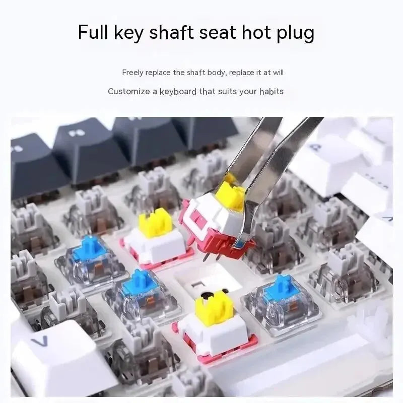 FanzyMarket 87-Key Tri-Mode Mechanical Keyboard with RGB PBT keycaps, hot-swappable switches, gasket design, and 4000mAh battery.