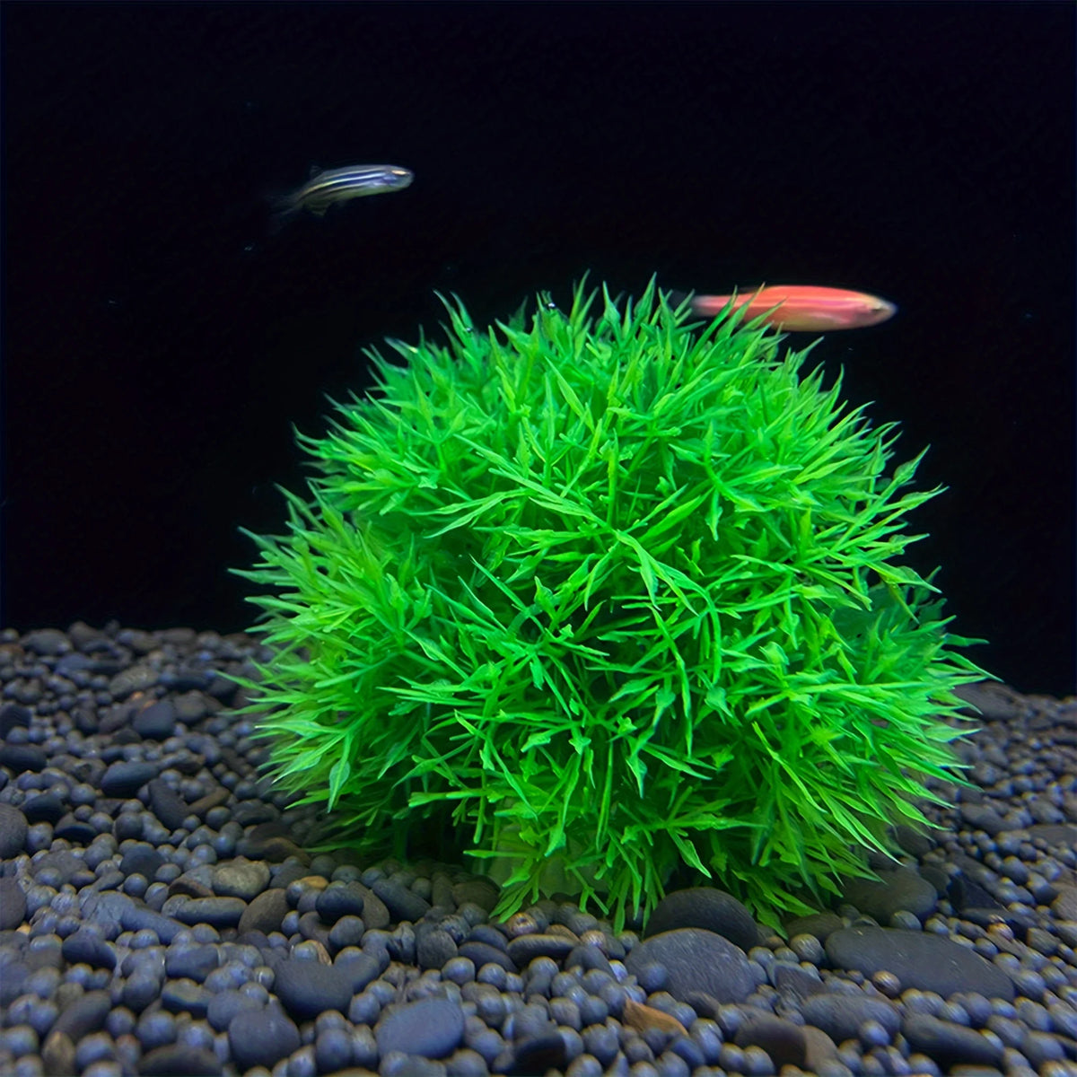 FanzyMarket faux aquarium grass ball, fade-resistant artificial water plant for fish tank decor, vibrant green aquatic decoration
