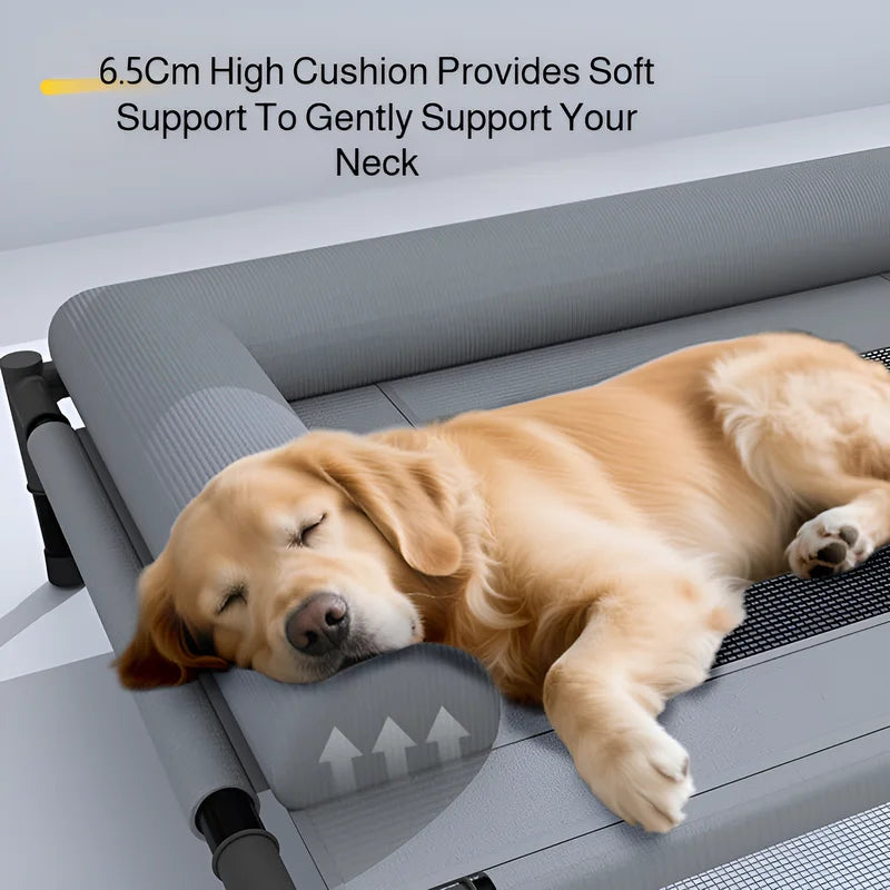 Large moisture-proof elevated pet bed with removable washable breathable mesh for indoor or camping use, ideal for dogs and cats.