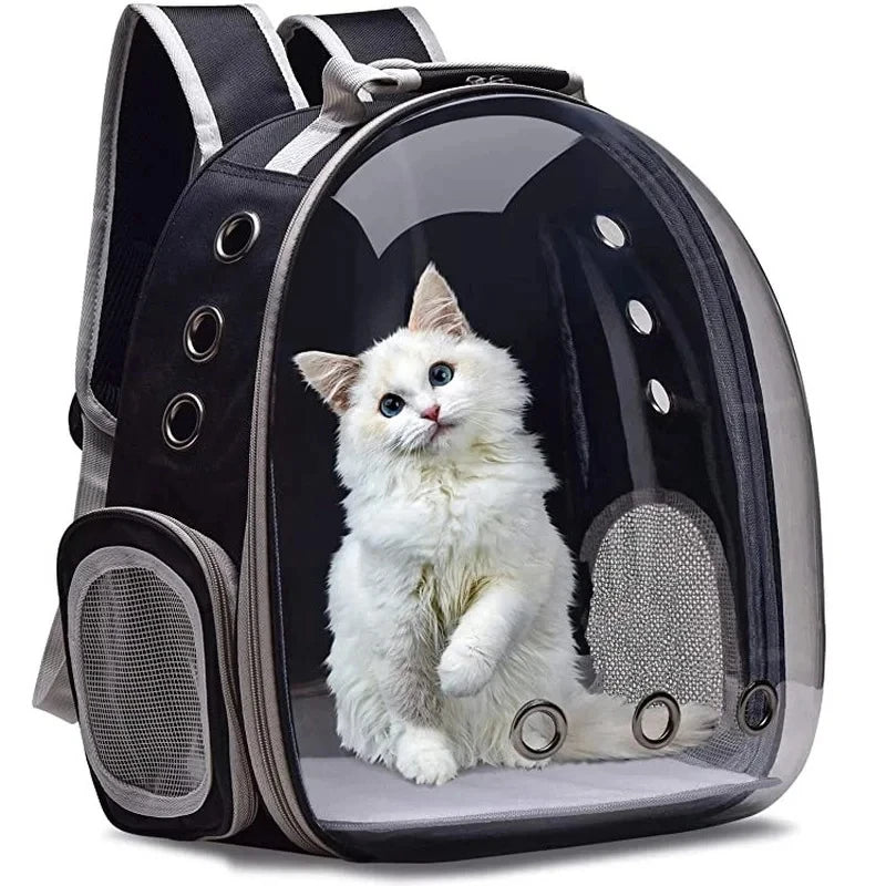 Transparent bubble pet carrier backpack for cats and small pets by FanzyMarket, breathable travel carrier with zipper and black design.