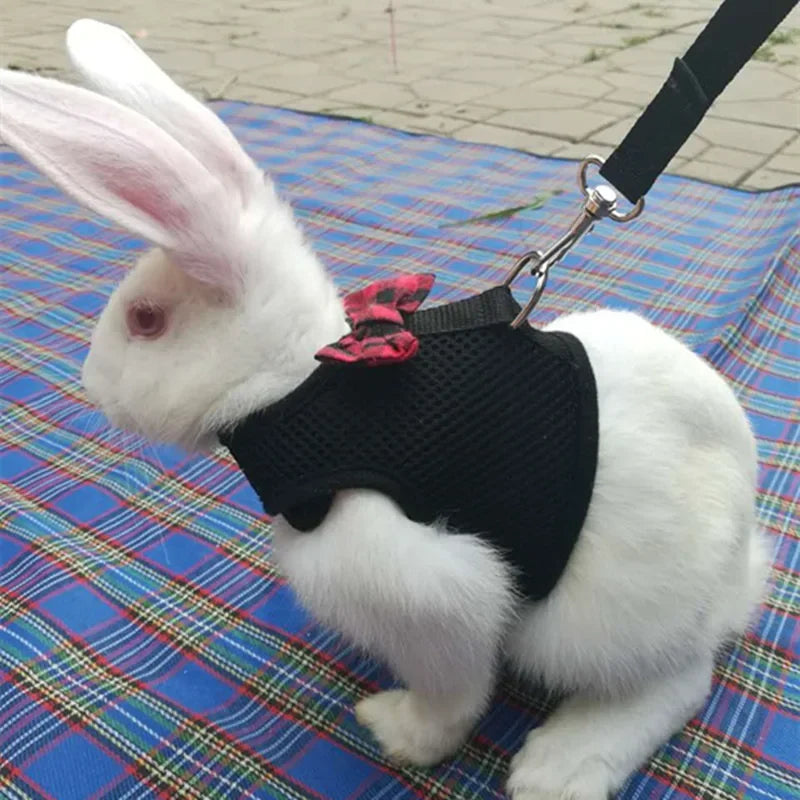 FanzyMarket small animal vest harness and leash set for rabbits, kittens, guinea pigs, adjustable breathable cotton, available in three sizes.