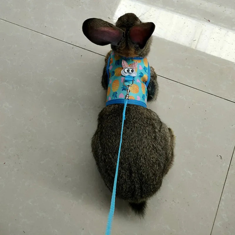 FanzyMarket small animal vest harness and leash set for rabbits, kittens, and guinea pigs, adjustable cotton, available in three sizes.
