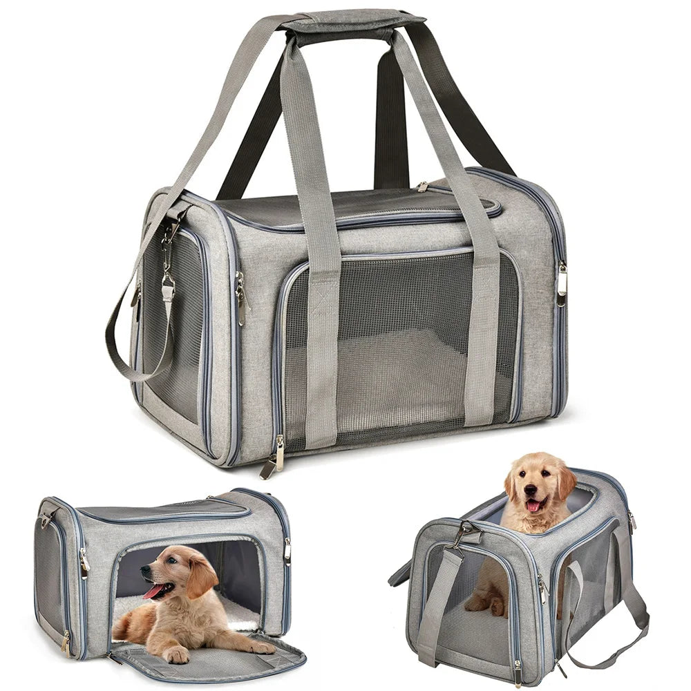FanzyMarket airline-approved soft-side pet carrier backpack for small dogs and cats, black, size L with adjustable straps