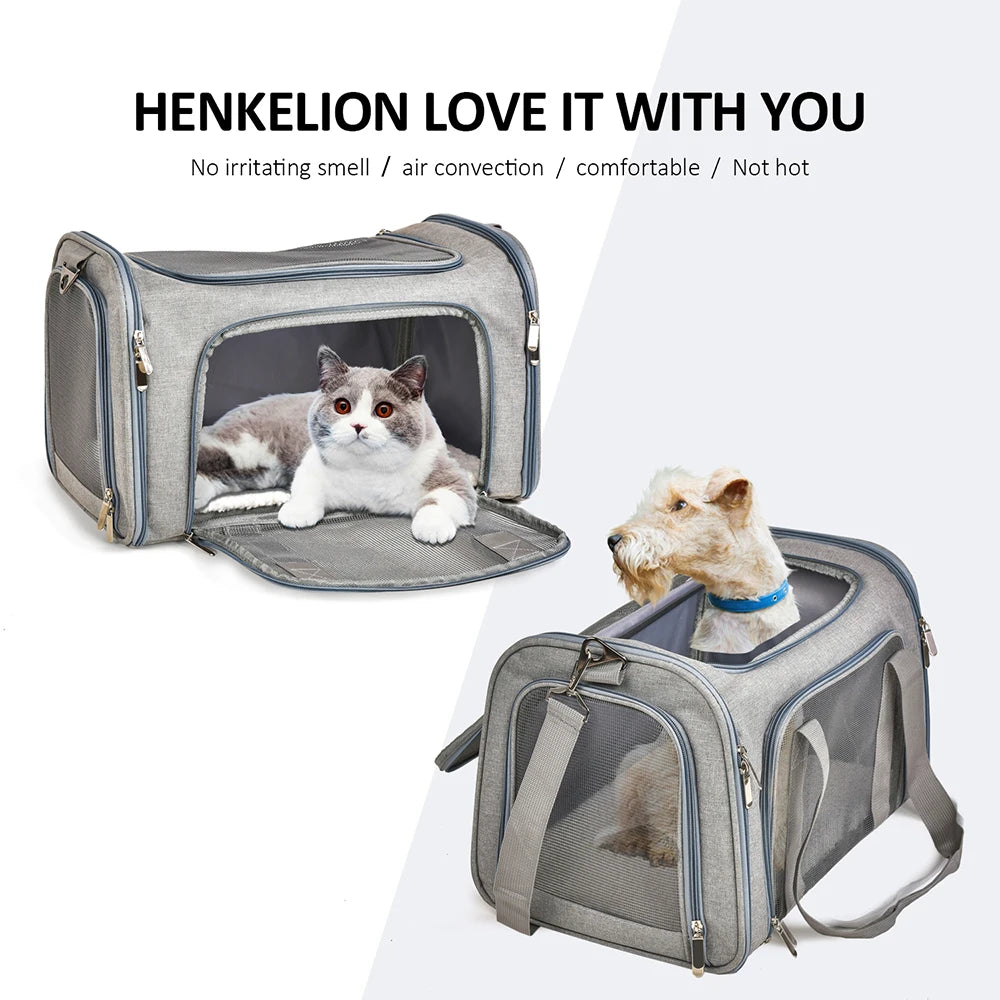 FanzyMarket airline-approved soft-side pet carrier backpack for small dogs and cats, black, with size L (50x34x34 cm).