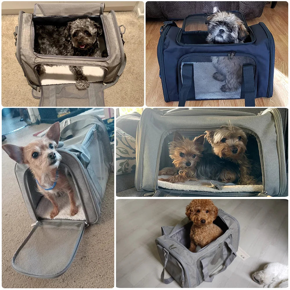 FanzyMarket airline-approved soft-side pet carrier backpack for small dogs and cats, black, L size, 50x34x34 cm.