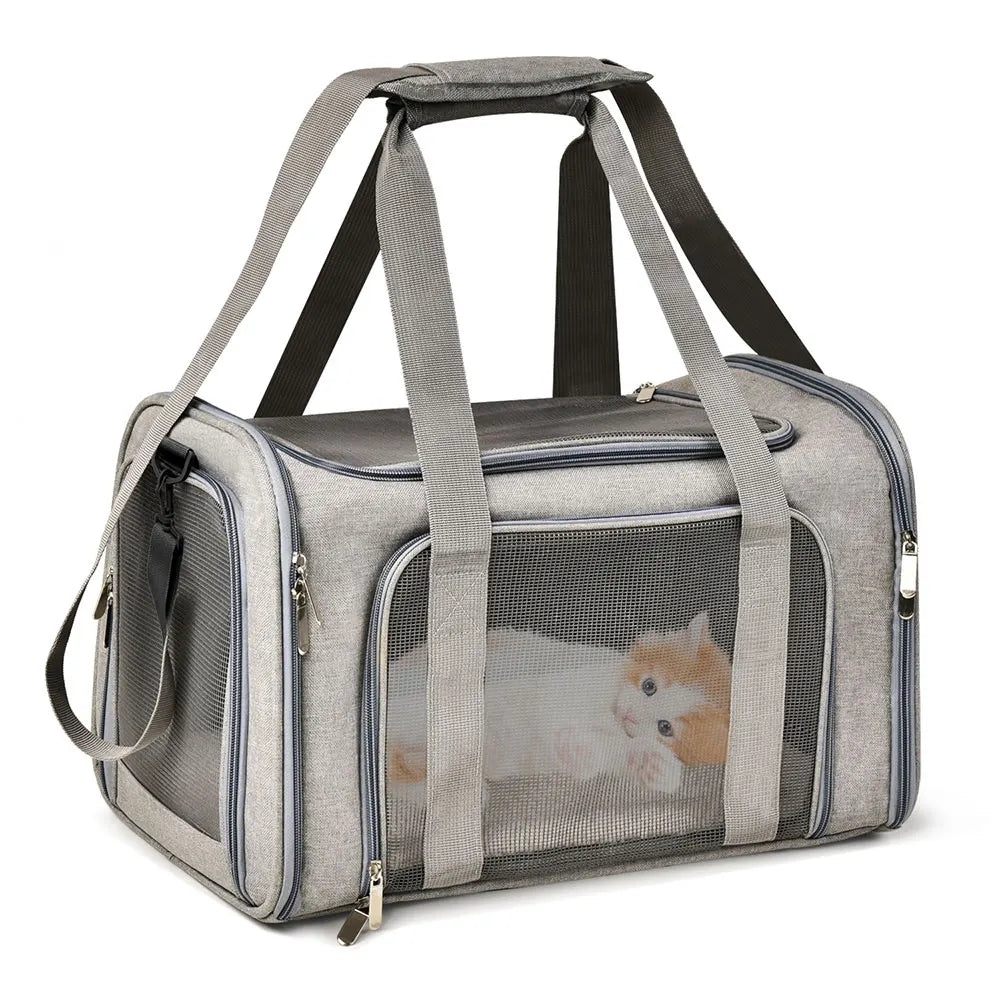 FanzyMarket airline-approved soft-side pet carrier backpack for small dogs and cats, black, size L, up to 12 kg.