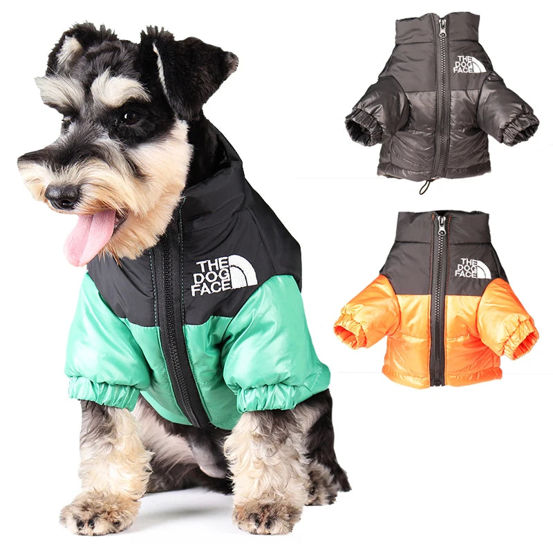 FanzyMarket windproof winter dog jacket with padding and reflective details for small to large dogs in various sizes.