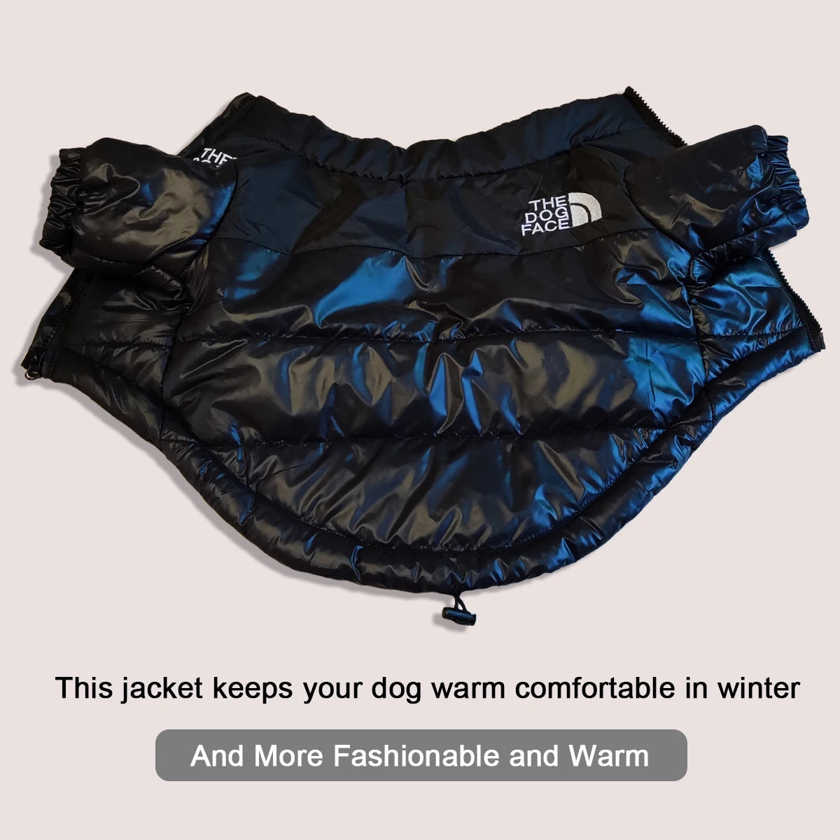 FanzyMarket windproof winter dog jacket with reflective padding for small to large dogs, padded and suitable for cold weather.