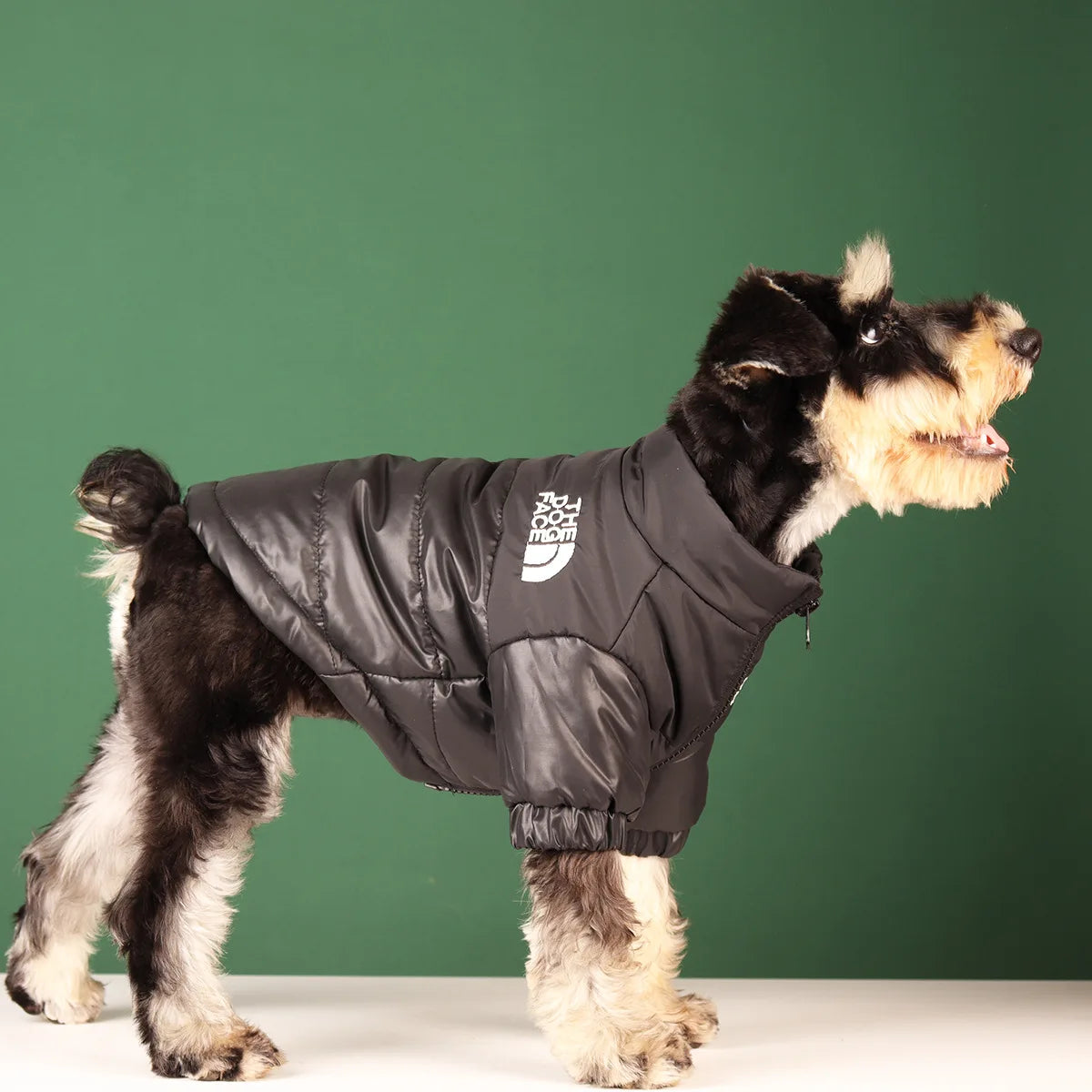 FanzyMarket windproof winter dog jacket with reflective padding for small to large dogs, black, padded and insulated for cold weather.