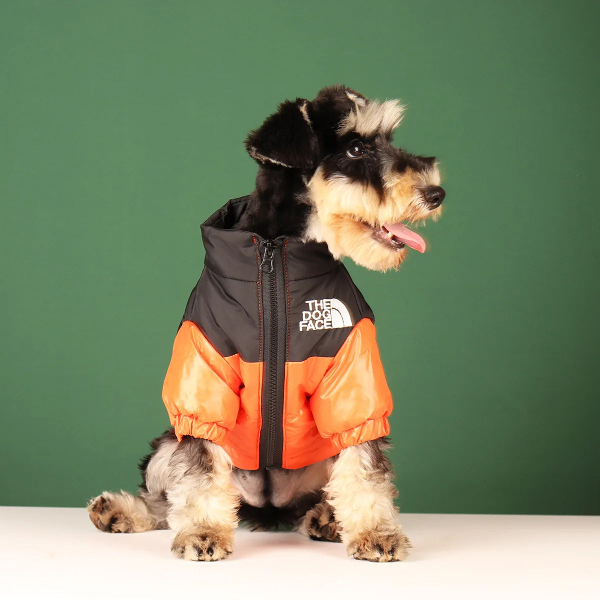 FanzyMarket windproof winter dog jacket with padding and reflective features for small to large dogs in black, available in multiple sizes.