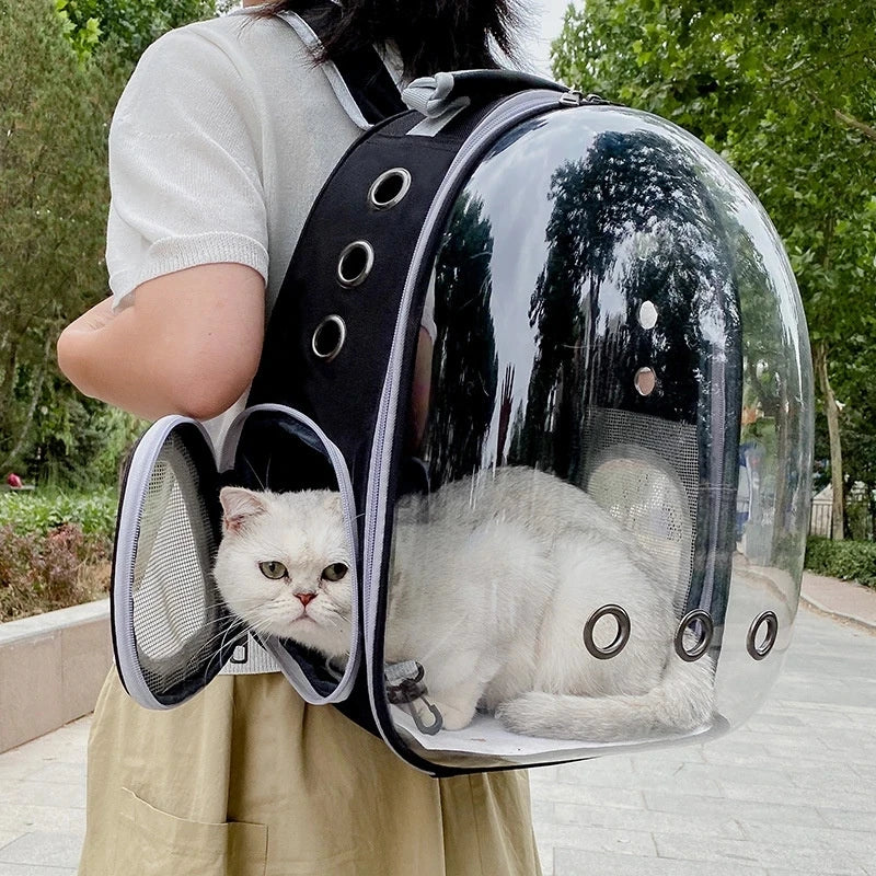 Transparent bubble pet backpack carrier by FanzyMarket, space capsule design with ventilation and side pocket for small cats and dogs.