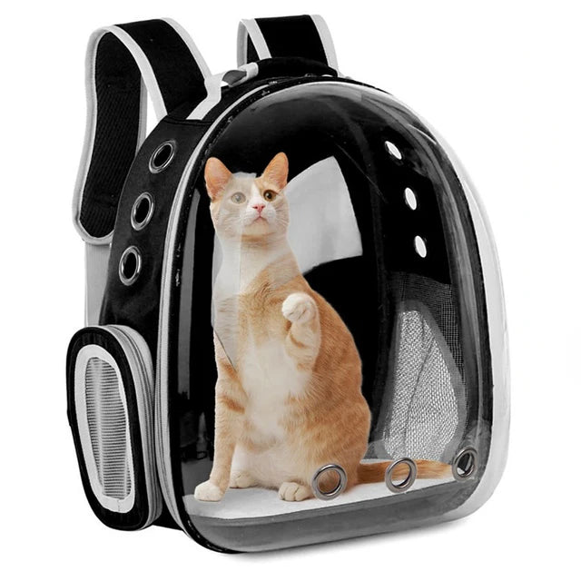 Transparent bubble pet backpack carrier by FanzyMarket with space capsule design, ventilation, and side pocket for cats and small dogs.