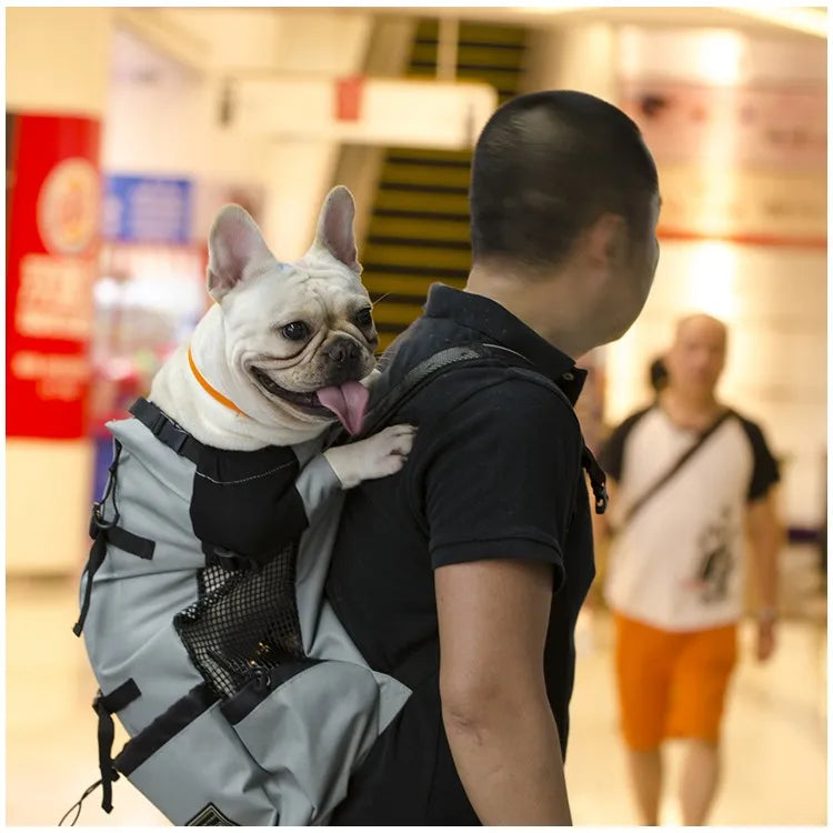Black breathable dog carrier backpack by FanzyMarket, designed for travel, hiking, and motorcycle rides, with mesh sides for ventilation.