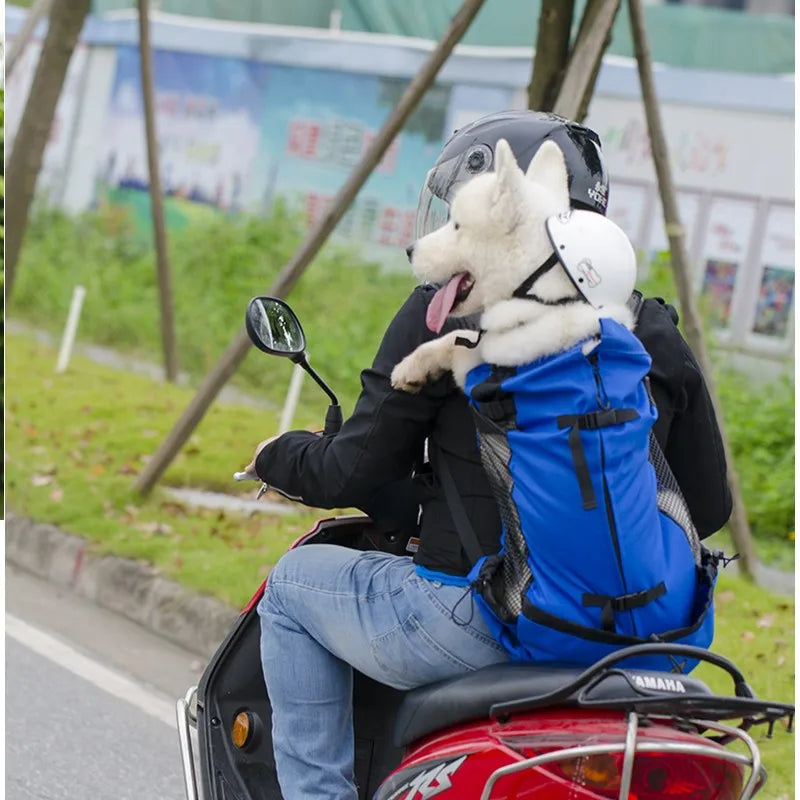 FanzyMarket breathable mesh dog carrier backpack for travel, hiking, and motorcycle, designed for medium-sized pets.
