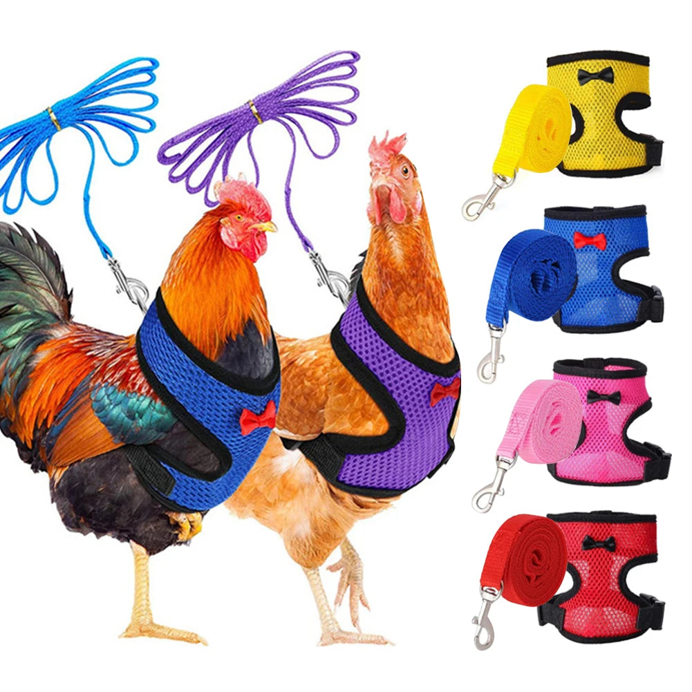 Blue adjustable mesh chicken and duck harness vest with leash, breathable poultry harness for small to extra-large birds.