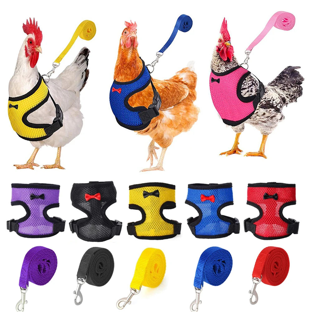 Blue adjustable mesh chicken and duck harness vest with leash, breathable poultry harness in XS-XL size by FanzyMarket.