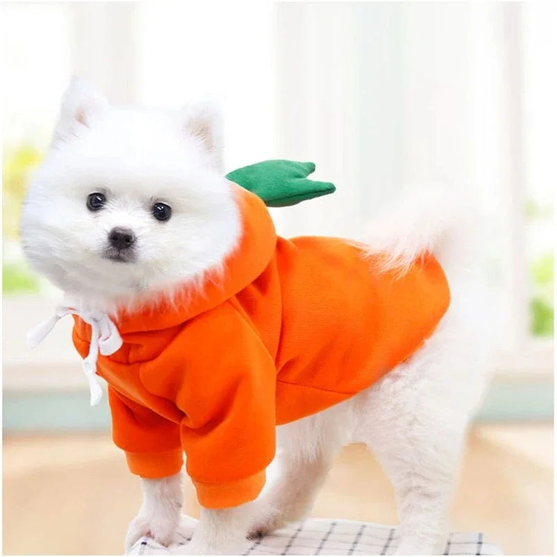 FanzyMarket fruit print fleece hoodie for small dogs, warm pet jacket with colorful fruit design for puppies and cats.