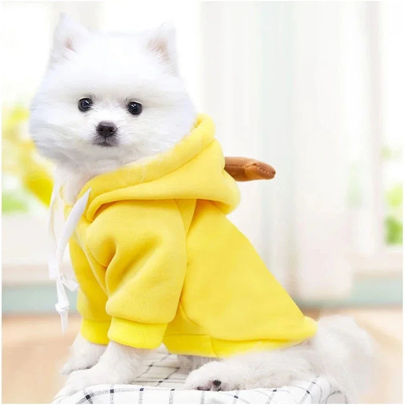 FanzyMarket fruit print fleece hoodie for small dogs, warm pet jacket with colorful fruit design for puppies and cats.