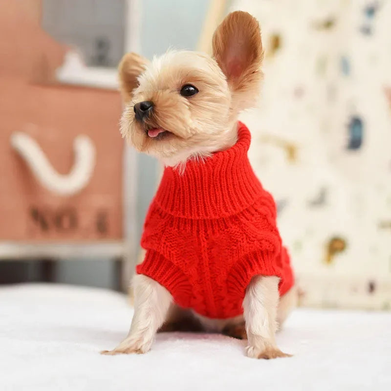 Deep blue knitted winter dog sweater for small and medium dogs, suitable for Chihuahuas and Yorkie puppies, by FanzyMarket.