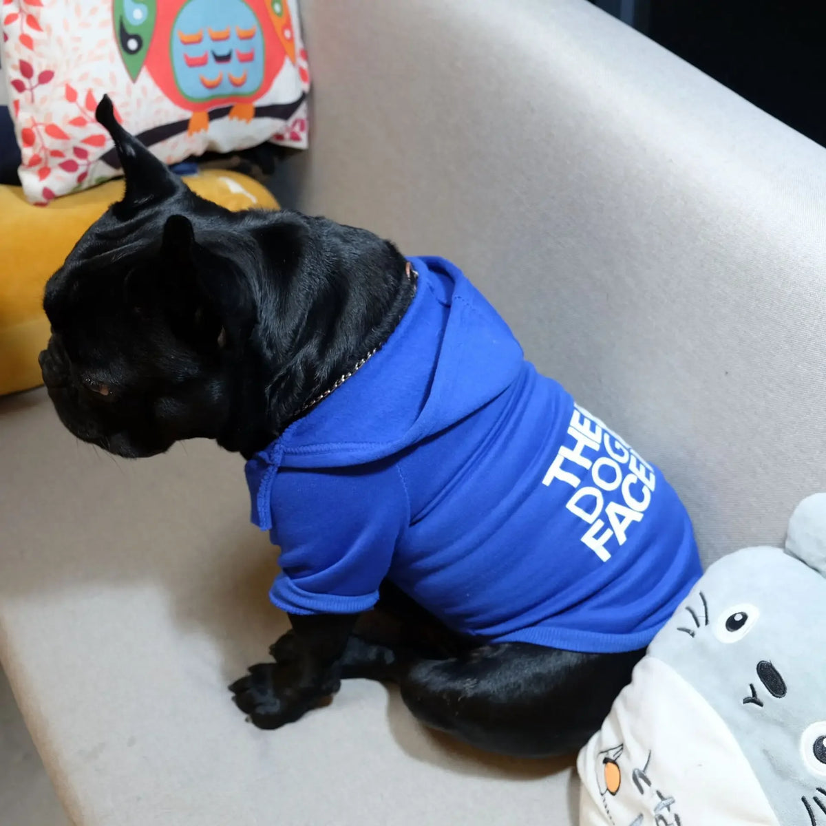 Large dog hoodie with autumn winter dog face text pattern, suitable for French Bulldogs and Labradors, by FanzyMarket.
