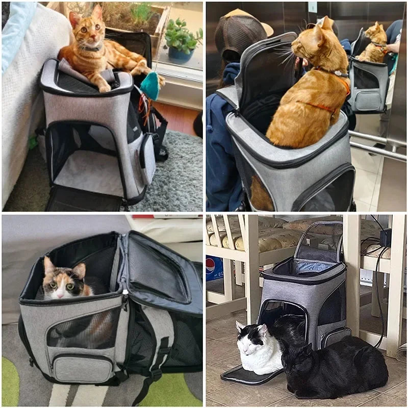 FanzyMarket breathable foldable pet carrier backpack for cats and small dogs, expandable design, fits pets up to 6.5 kg.