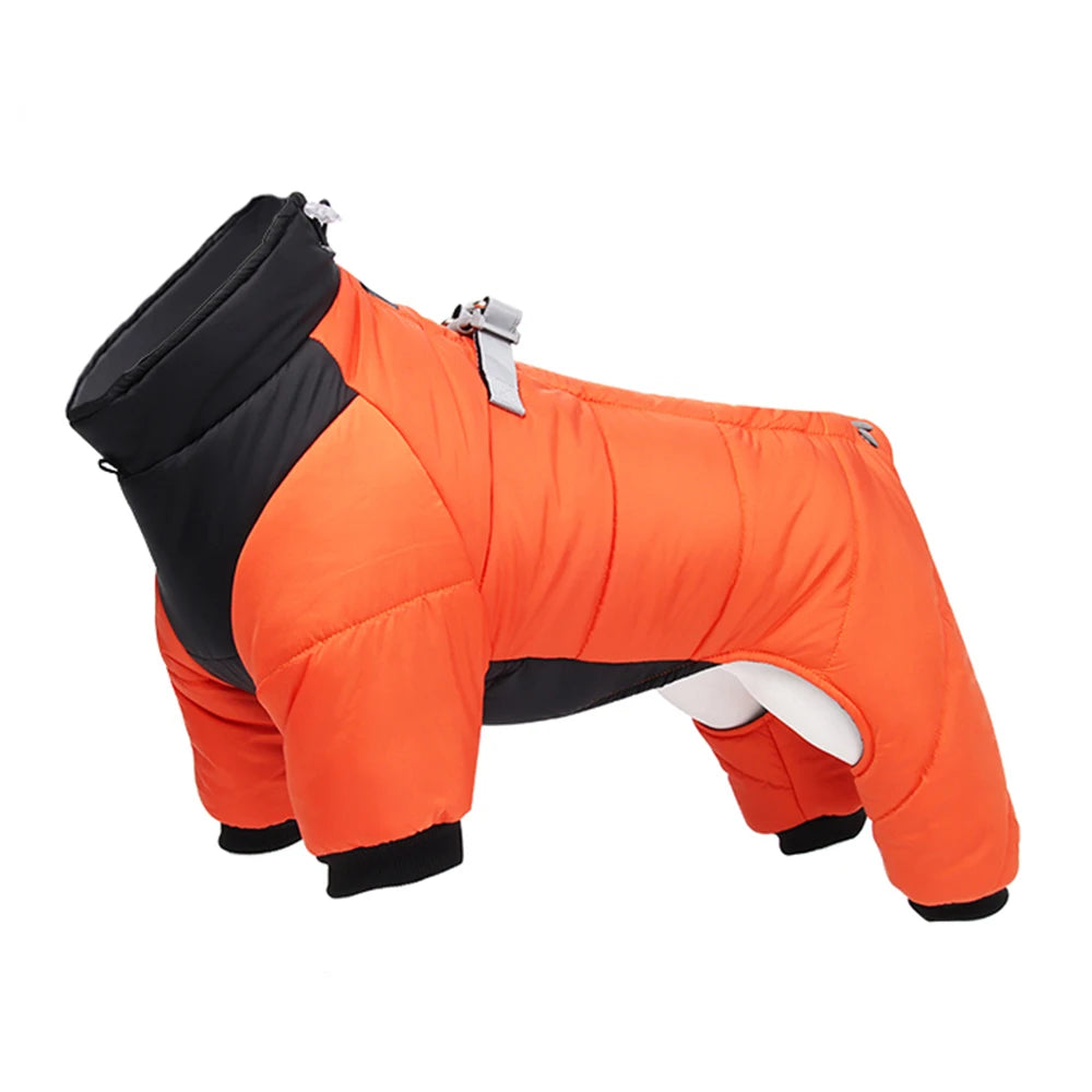 Blue waterproof padded winter dog jacket by FanzyMarket for small and medium breeds like Chihuahua, French Bulldog, and Pug.