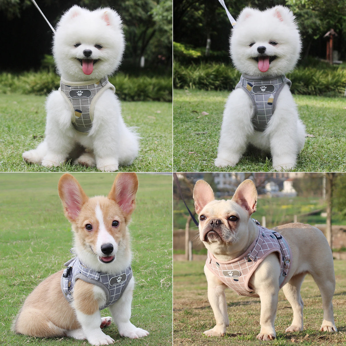 Adjustable breathable pet harness with reflective leash for puppies, small dogs, and cats, in khaki, by FanzyMarket.