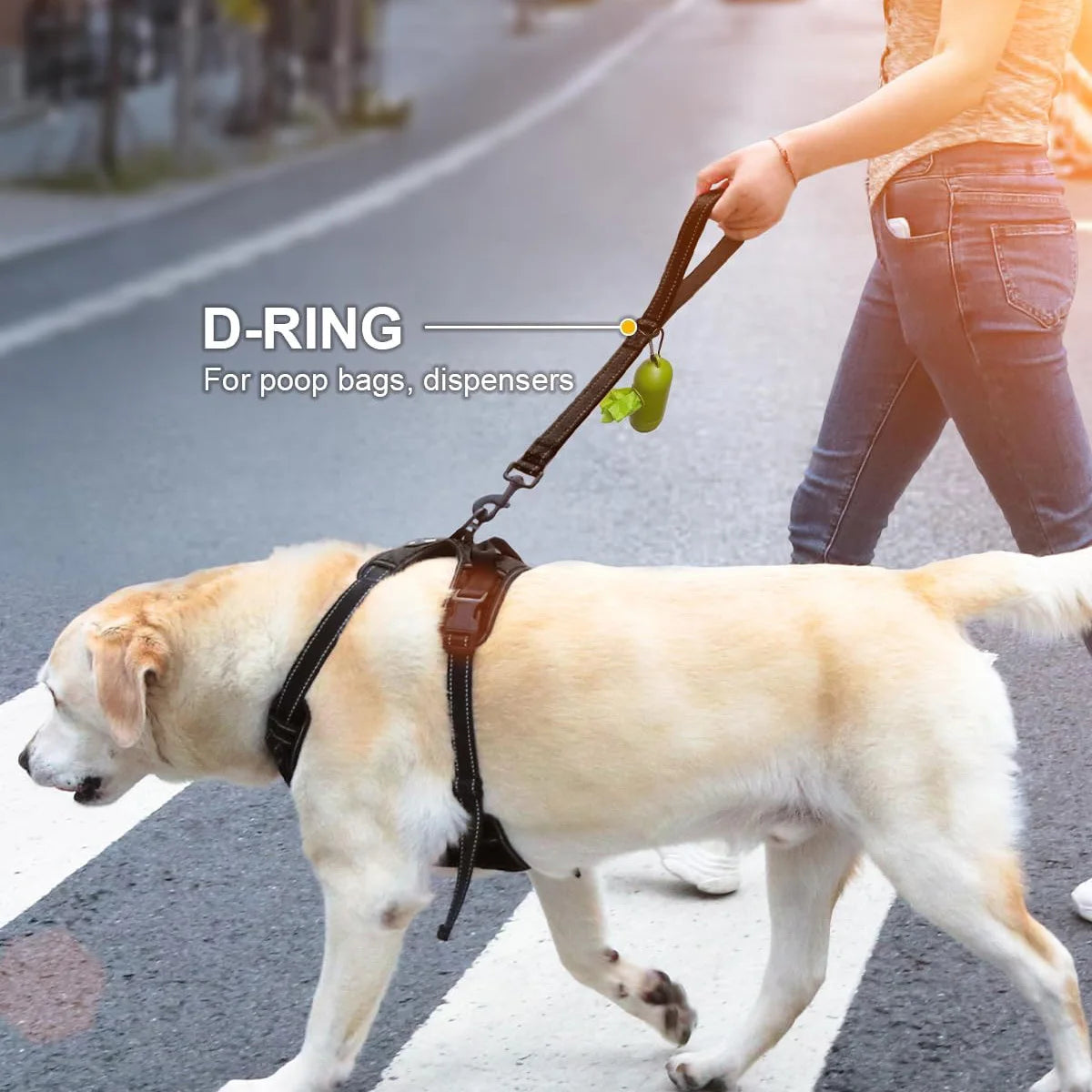FanzyMarket short nylon dog leash with padded traffic handle, heavy-duty reflective training lead in sky blue for secure walks.